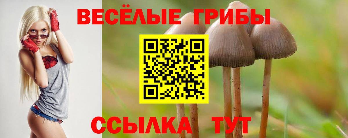 Псилоцибиновые грибы мухоморы  Вход с VPN  Когалым  Псилоцибиновые грибы MAGIC MUSHROOMS 